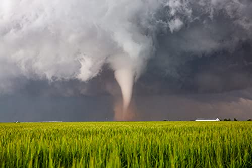 Снимка на буря, Принт (без рамка), Снимка на Торнадо, подобрява прах над Пшеничным поле в пролетен ден в Тексас, Буря, Стенно изкуство,