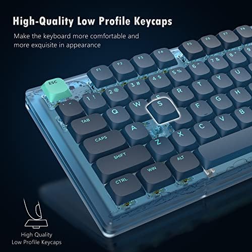Механична клавиатура Womier K87 TKL, клавиатура RGB 80% с възможност за гореща замяна Механична геймърска клавиатура, клавиатура