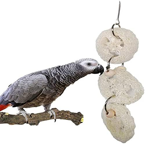 Вълнисто Папагал Perch Parrot за Малки Дървени Средни Птици, Натурална Поставка за домашни любимци, Играчки за домашни животни,