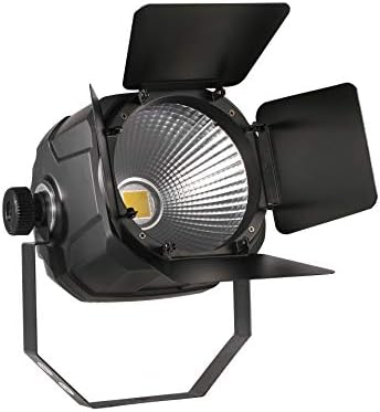 DragonX Професионален Мощен Прожектор с Врати Плевнята COB LED 100 W 3200 До Топло Бяло Сценичното Осветление за Парти, dj, Сватба,