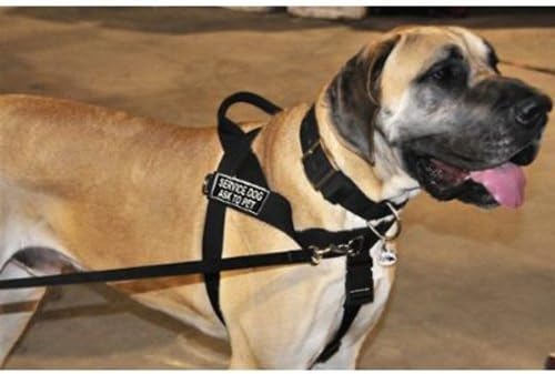 DT Универсална шлейка за кучета без тяга, Служебна Куче Иска инсулт, Черна, Голяма, е подходящ по размер на обиколката: от 31 до
